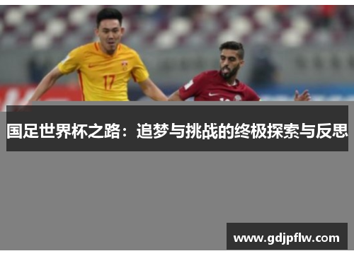 国足世界杯之路：追梦与挑战的终极探索与反思